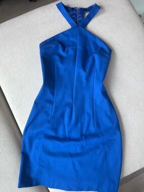 Erin Fetherston Cobalt Lined Low Back Dress $349MSRP